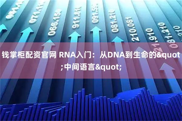 钱掌柜配资官网 RNA入门：从DNA到生命的"中间语言"
