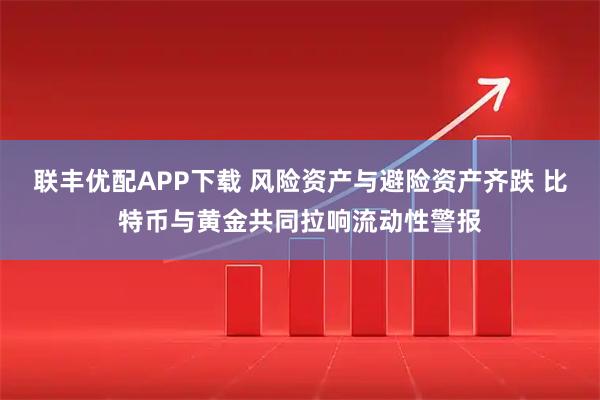 联丰优配APP下载 风险资产与避险资产齐跌 比特币与黄金共同拉响流动性警报